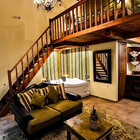 Synikia Mesi Trikalon Camelia Suites מראה חיצוני תמונה